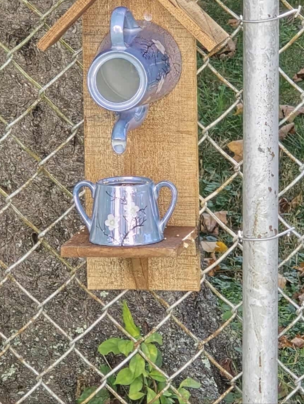 Rustic Wooden Handmade Bird Feeder Take Your Meds - Picture 11 of 16